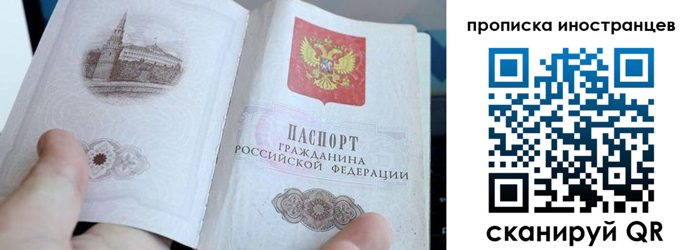 прописка поиск в Светогорске